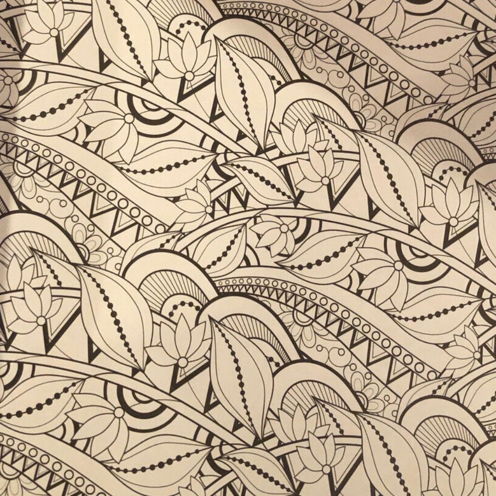 Color Art Color & Create Nature Adult Coloring Book - Picture 4 of 4